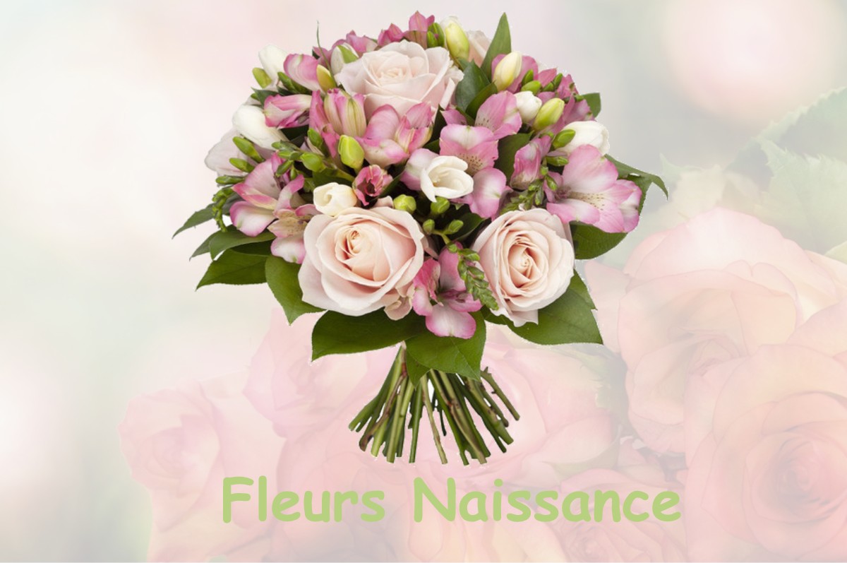 fleurs naissance RUPT-SUR-OTHAIN