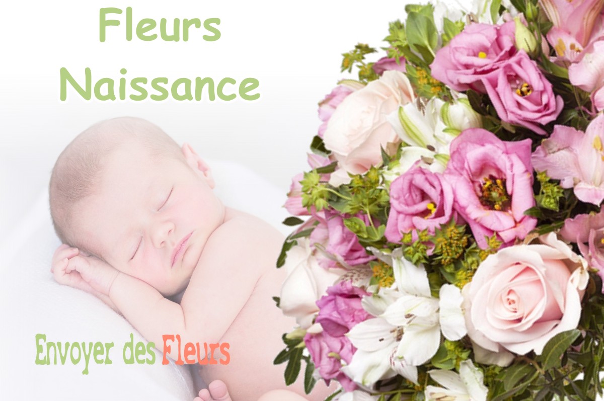 lIVRAISON FLEURS NAISSANCE à RUPT-SUR-OTHAIN